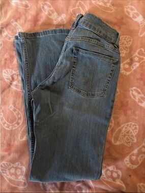 Wrangler Women's Straight Leg Jeans in Blue Denim